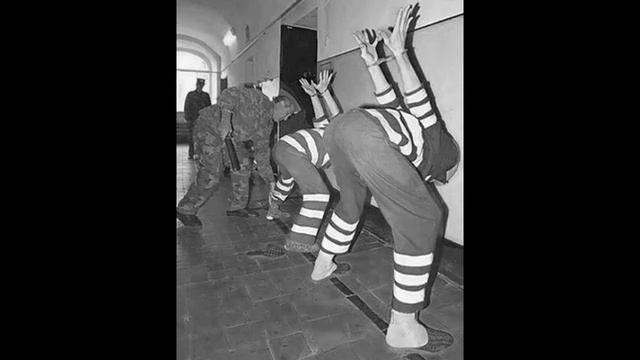 черный дельфин смотреть онлайн