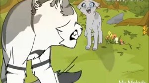 Коты воители искра клип каждый раз