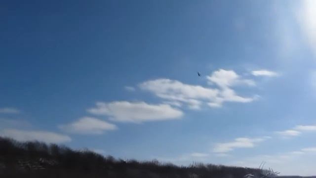 Леталки в Сафоново - NordParaPortal смотреть онлайн