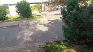 СОЧИ.АДЛЕРКУРОРТ. корпус Дельфин.