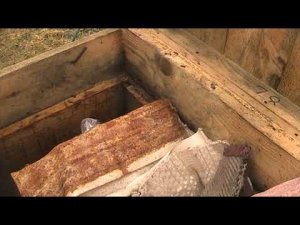 СЛАБЫЕ СЕМЬИ ПОСЛЕ ЗИМОВКИ. ЧТО ДЕЛАТЬ с пчелами?