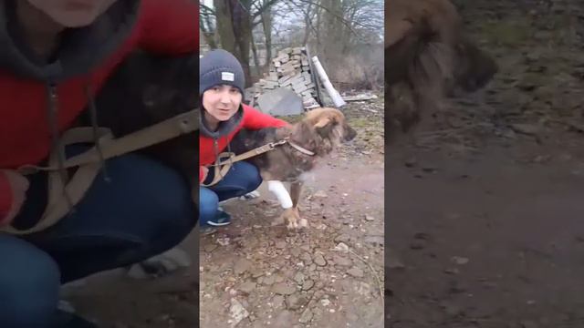 История погорелицы Жули. Судьба дала ей второй шанс! смотреть онлайн