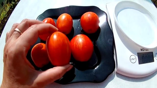 Томат Кабанята смотреть онлайн