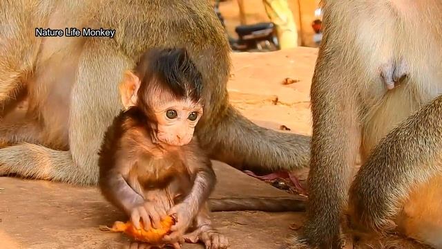 unbelievable! Leyla react so fast save Lucas falling from stone смотреть онлайн