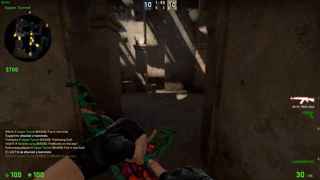CSGO | Getting AK-47 | Wild Lotus is exciting! смотреть онлайн