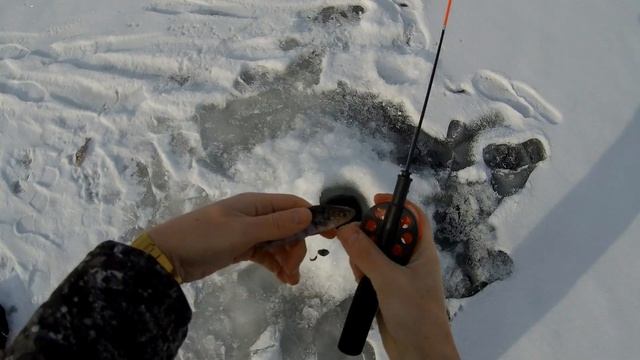 Рыбалка в Самаре. Залив Акулий, остров Голодный смотреть онлайн
