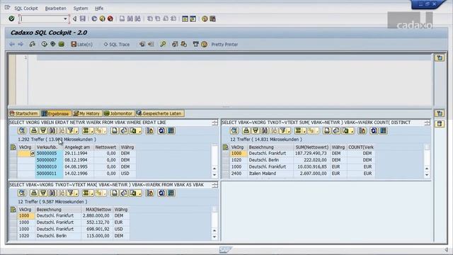 Cadaxo SQL Cockpit 2.0 (SAP ABAP AddOn) - Speichern von Ergebnislisten смотреть онлайн