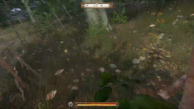 Kingdom Come Deliverance treasure map 7 treasure location смотреть онлайн