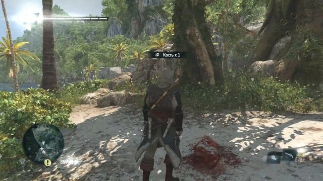 Assassin's Creed IV Black Flag как честно заработать много денег ( на шкурах ) смотреть онлайн
