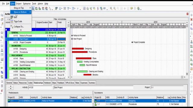 Primavera P6 Filter By Tutorial| How to Apply Filter to Activities in Oracle Primavera P6? смотреть онлайн