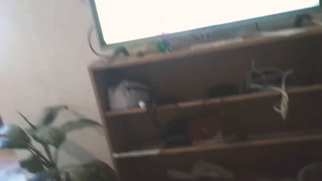 Я скоро куплю 3 студию за 5В стимулятор каяка 6 смотреть онлайн