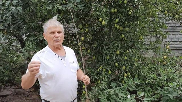 УХОД ЗА ГРУШЕЙ смотреть онлайн