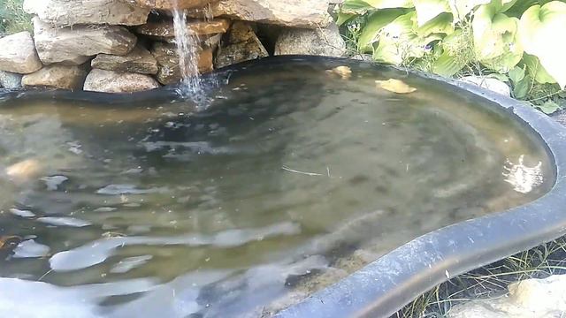 Варганю - 25.08.2022 смотреть онлайн