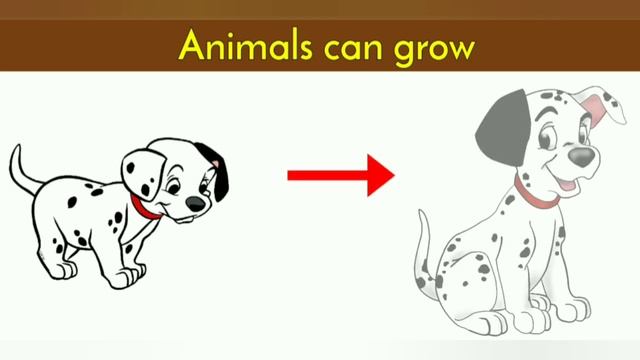 living things and nonliving things | Living and non living things for kids | Living and non living смотреть онлайн