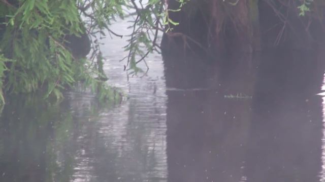 Frog Fishing - Tips to Help You Catch More Bass on Frogs смотреть онлайн