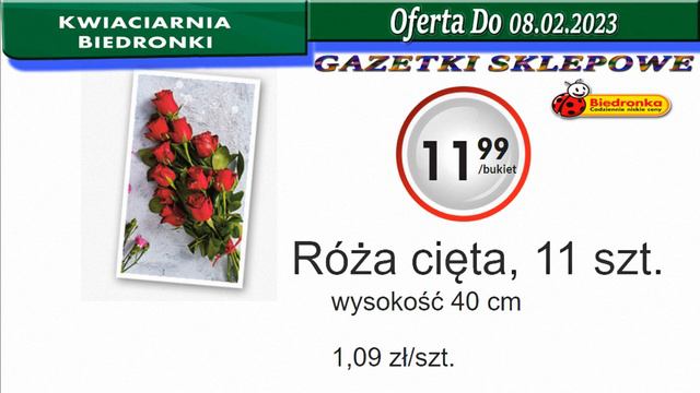 Biedronka | Kwiaciarnia Biedronki Nowa Oferta Od 06.02.2023 | Kwiatowe Inspiracje Biedronki смотреть онлайн