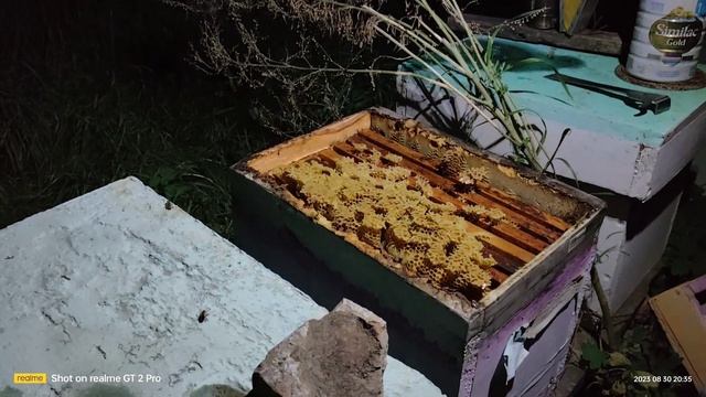 обработка щавелевой кислотой, 3 через 7. смотреть онлайн