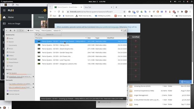 Using Filebot to rename episodes for 1 or multiple TV Shows смотреть онлайн