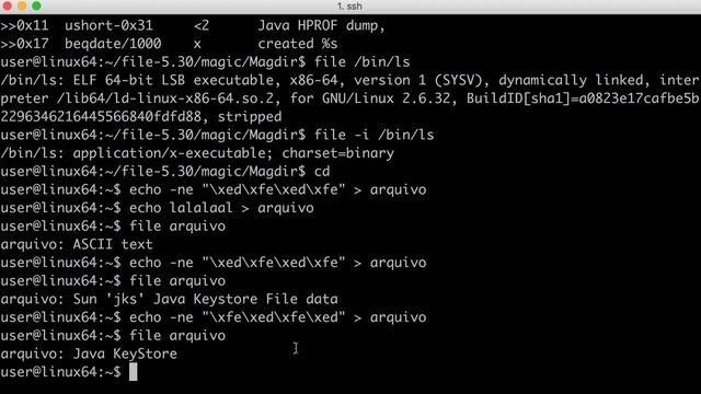 Identificando arquivos com o comando file смотреть онлайн