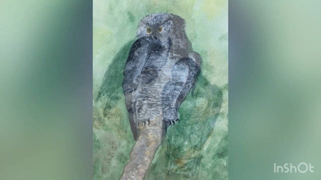 ВЫСТАВКА ОБУЧАЮЩИХСЯ ГРУПП 1 ПП-1,2 «ЗАРИСОВКА ПТИЦ» смотреть онлайн