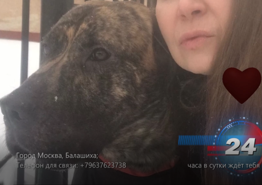 Лорд в приюте для бездомных. смотреть онлайн