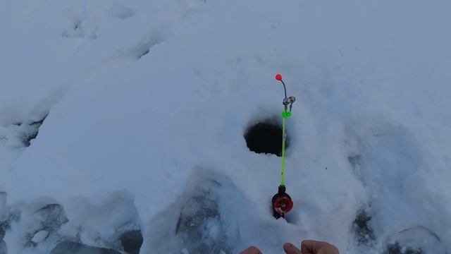 Рыбалка на таёжной реке! Приучаем молодое поколение к рыбалке. Мелочь атакует. смотреть онлайн