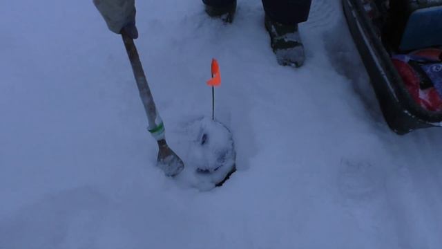 Иртыш декабрь 2023