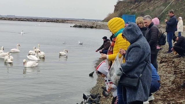 #437.Муж меня бросил и уехал.Дельфины опять приплыли.10 апреля 2021. смотреть онлайн