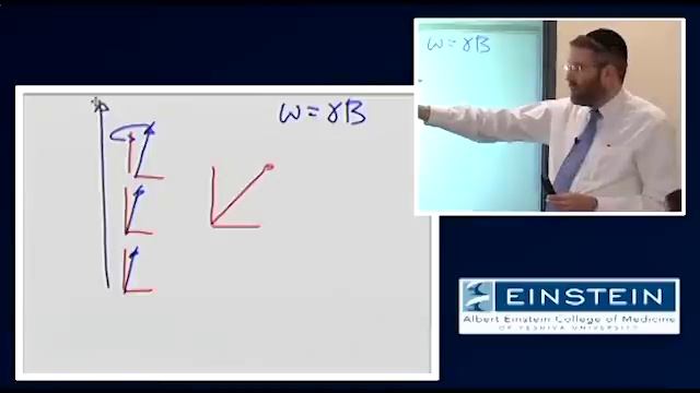 Introducing MRI: Introduction To NMR -- Transverse Component Magnetization (6 Of 56)