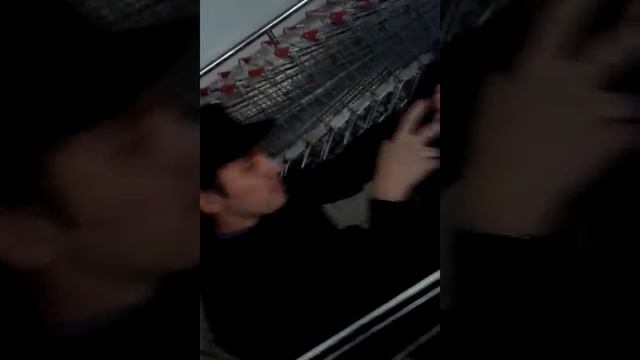 Рождественские чудаки или корпоратив по Русски ( Охрана развлекается ) смотреть онлайн