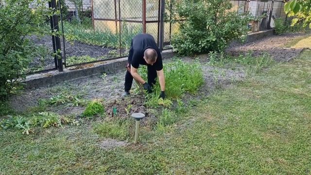 Дача2023,Гарику грядки, Кери лаунж зона!? Киев-Бровары смотреть онлайн