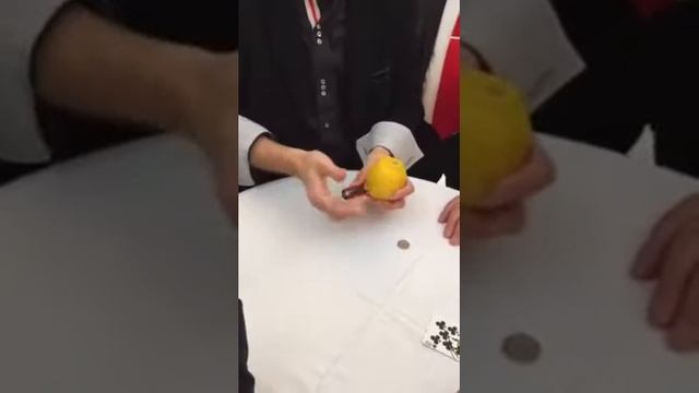 Фокус мокус смотреть онлайн
