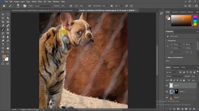 Combining RANDOM Animals in Photoshop смотреть онлайн