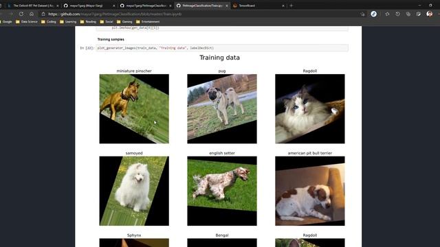 Pet Image Classification using CNN in tf.keras - Project showcase смотреть онлайн