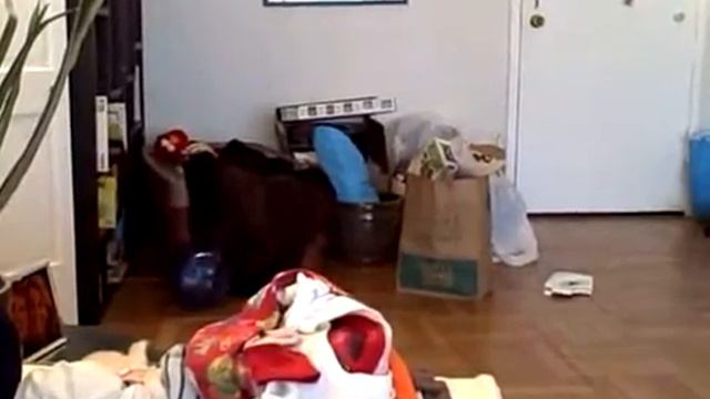 Nov 01 2006 - VID00011.mov смотреть онлайн