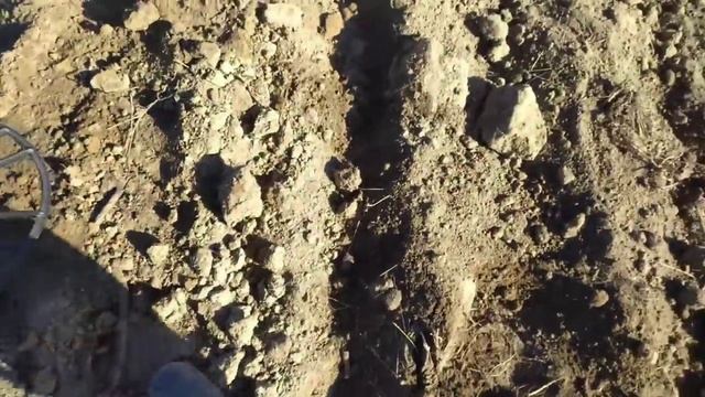 ДАВНО ТАК НЕ КОПАЛ, НАХОДКИ ЛЕЗЛИ ОДНА ЗА ДРУГОЙ. КОП 2021. НАХОДКИ С ФОРТУНА ПРО 2. смотреть онлайн
