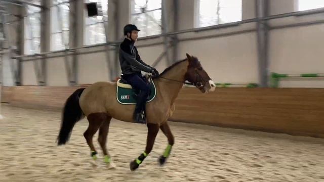 Хороший конь , не хочет двигаться смотреть онлайн