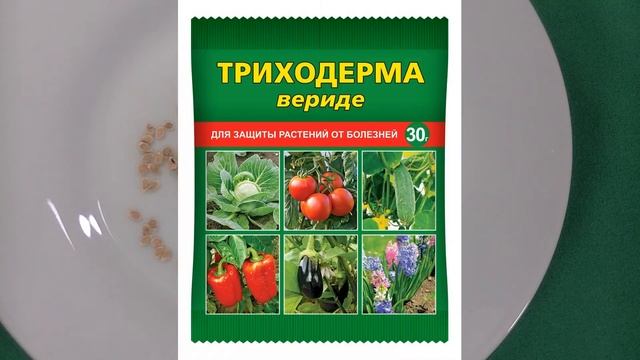 Сажаю семена перца и томата. Готовлю рассадные формы, семена, грунт. Где выращиваю. Фитолампы. смотреть онлайн
