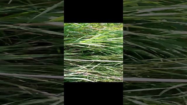 на заброшку)