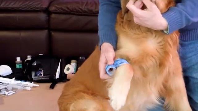 How to control bleeding. смотреть онлайн