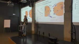 Как спорт влияет на мозг? – Ася Казанцева