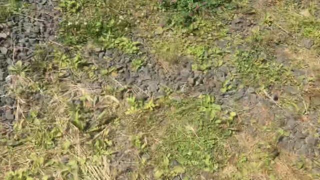 Низкое давление масла Рено премиум 400 двс МИДР. смотреть онлайн