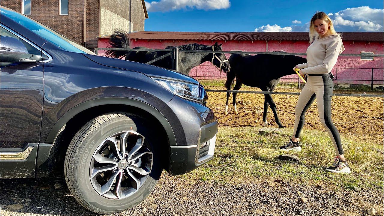 Конкурент Тойота РАВ4. Новая Honda CR V 2020