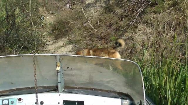 Земснаряд. Четвероногий помощник. #11 смотреть онлайн