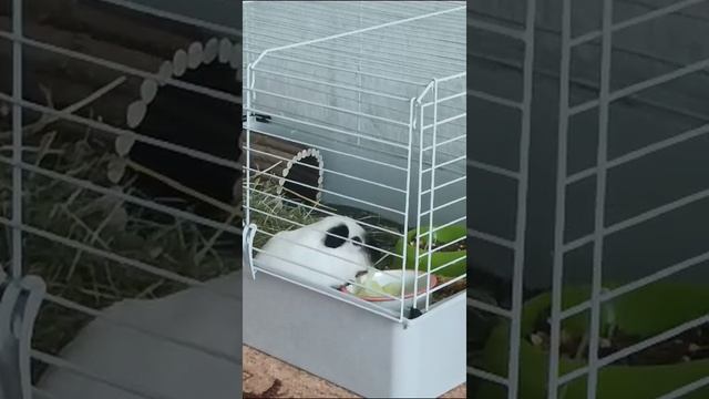 Обед по расписанию!