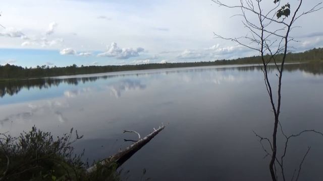 Йога пикник на лесном озере. Июнь 2018 г. смотреть онлайн