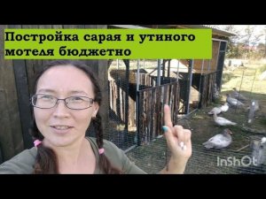 Постройка сарая и утиного мотеля бюджетно.