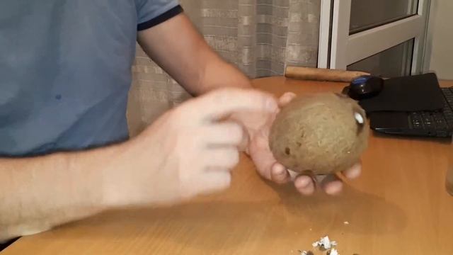 ОТКРЫТЬ КОКОС ПОДРУЧНЫМИ СРЕДСТВАМИ смотреть онлайн