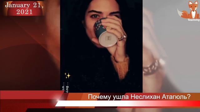 Почему Неслихан Атагюль ушла из сериала Дочь посла?