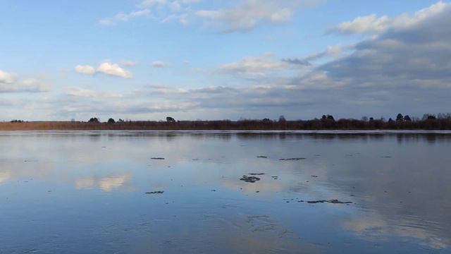 р. Ока, с. Ляхи. 1.04.2023 половодье. 4к. смотреть онлайн